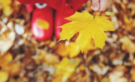Herbstferienprogramm 2026 mit Workshops für Kinder und Jugendliche